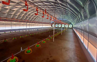 Granja de pollos, granja de pollos, granja de pollos, casa verde, granja de pollos a la venta