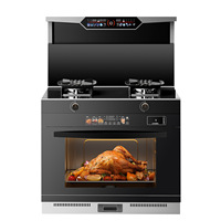 Cuisinière intégrée double brûleur à commande tactile en acier inoxydable avec hotte aspirante intégrée, allumage électronique, gaz naturel GPL