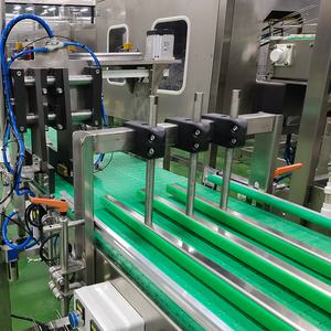 Gıda sanayi ambalaj üretim hattı masa üst zincir bantlı konveyör tasarımı - Product Image 3