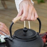 Bouilloire en fonte antiadhésive HISPEED 900 ml avec couvercle et poignée en acier inoxydable pour le camping, pour faire bouillir du thé et du café sains