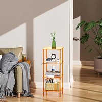 Offre Spéciale moderne 4 niveaux acrylique étagère de rangement de toilette clair salle de bain douche organisateur support pour salon étagère en acrylique
