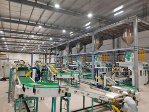 آلة تعبئة الأرز Ewinall DCS-50FE2-B سعة 10-50 كجم مع ناقل خياطة 30 طن شبه أوتوماتيكية لأكياس الطعام - Product Image 6