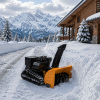 Souffleuse à neige télécommandée tout-terrain multifonctionnelle, balayeuse à neige, machine de déneigement sur chenilles hydrauliques pour ranch et ferme