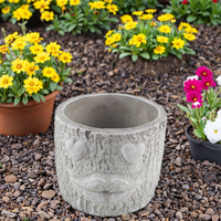 Jardinière en ciment au design unique Pots de fleurs d'intérieur pour l'extérieur Pot de plantes décoratif moderne pour balcon