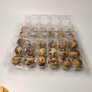 Bandeja Transparente para 30 Huevos de Codorniz con Protección Segura para el Mercado Minorista y Empaquetado de Huevos para Pequeñas Empresas - Product Image 4