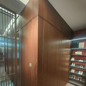 装飾的な中国風モダン壁パネル木製壁ブラックウォールナット突板木製壁パネルリビングルーム用 - Product Image 6