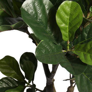 <span class=keywords><strong>Plantas</strong></span> Artificiales <span class=keywords><strong>de</strong></span> Plástico <span class=keywords><strong>Grandes</strong></span> para Decoración, Bonsái Falso Simulado, Árbol Grande <span class=keywords><strong>de</strong></span> Imitación con Maceta - Product Image 3