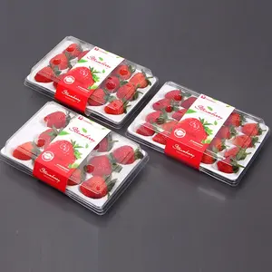 Imballaggio del vassoio di plastica delle fragole del vassoio della schiuma della frutta trasparente dell'animale domestico della scatola del pacchetto su ordinazione della fabbrica usa e getta all'ingrosso