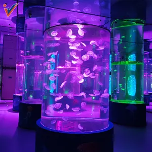 Большой морской аквариум с люцитом индивидуального размера, аквариум с акриловыми медумами %