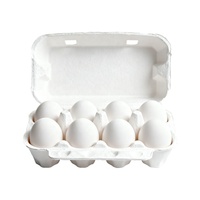 Venta al por Mayor de Cartones de Pulpa de Caña de Azúcar Biodegradables para 8 Huevos, Cartones de Huevos con Logotipo Personalizado, Envases para Huevos