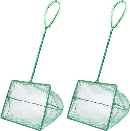 Vert