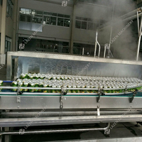 Fabrieksleverancier van automatische machines voor het maken van tomatensaus van goede kwaliteit, 1-20T/H capaciteit.