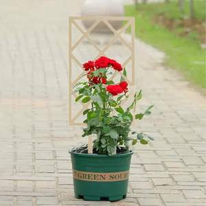 Treillis de jardin en bois Tailai en gros pour plantes grimpantes, pergola en bois pour plantes en pot, fleurs, vignes, entraînement à la <span class=keywords><strong>grimpante</strong></span> - Product Image 4