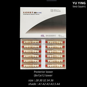 Dentaire supérieure et inférieure postérieure résine synthétique 2 couches résine acrylique dents résine prothèse dentaire - Product Image 3