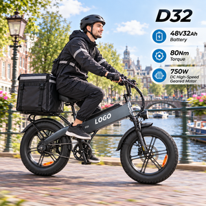 Bicicleta Eléctrica de Carga D32, 750W, 80N·m, 48V32Ah, Carga Máxima 200kg, Entrega Directa de Fábrica, Pedidos al Por Mayor - Product Image 1