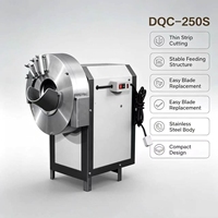 Industriële gember snij- en raspmachine DQC-250S voor het verwerken van knolgroenten in voedingsmiddelenindustrieën