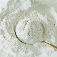 Poudre de racine de Konjac en vrac, Poudre de Glucomannane de Konjac de qualité alimentaire, Complément de fibres naturelles pour la gestion du poids et la vente en gros