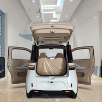 Yunlong M5 EEC L6e SUV électrique cabriolet 45 km/h RWD climatiseur deux avant en cuir pas de frais de stationnement pour la vente de permis de conduire