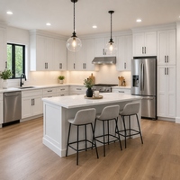 Gabinetes de Cocina Modulares Modernos de Lujo con Correderas de Cajones de Madera, Bisagras y Accesorios Ecológicos para Salpicaderos, Ideales para Villas