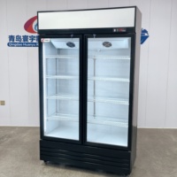 Réfrigérateur vertical à deux portes avec revêtement PVC, vitrine réfrigérée à double porte avec refroidissement par ventilateur pour épicerie