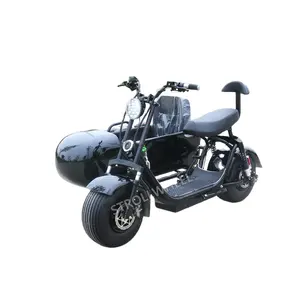 Eec/Ce Goedgekeurd 2000W Elektrische Scooter Citycoco Met Dikke Banden Voor Volwassen 3 Wielen Scooter Elektrische Motorfiets Volwassen