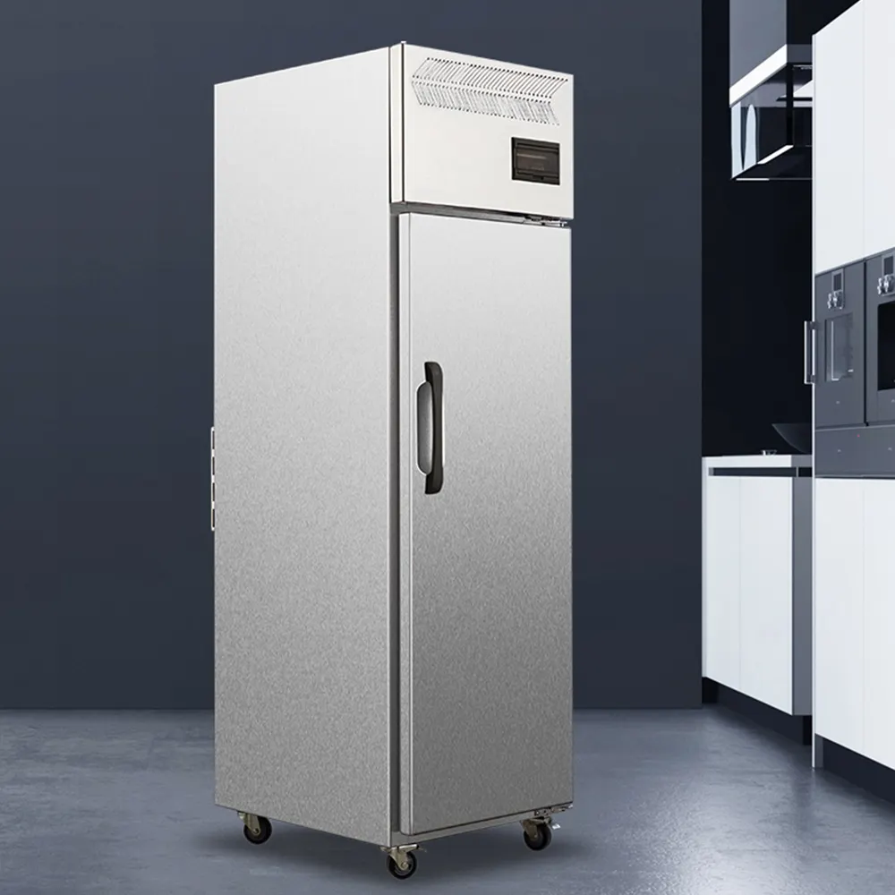 Congélateurs verticaux de réfrigérateur droit commercial de refroidissement à l'air d'acier inoxydable pour la cuisine