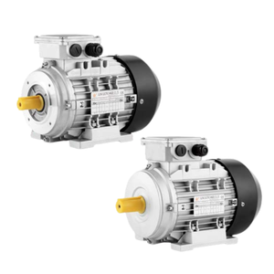 Động cơ không đồng bộ ba pha hiệu suất cao dòng JE, tiêu chuẩn IE3/IE4, trục C45 và vỏ nhôm - Danh mục sản phẩm: Động cơ - Product Image 1