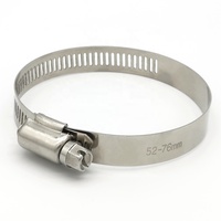 Customizable OEM Automotive Fasteners 304 316 201 Stainless Steel Worm Drive Hose Clamp Clips and Hose Clip