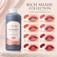 Pigment de maquillage permanent OEM, extrait végétalien pour salon professionnel, encre de microblading, pigment de tatouage pour sourcils