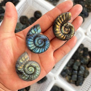 Labradorite, ammonite fossile, coquille de cristal polie, pierre naturelle, objet de collection artistique, éclat bleu, forme spirale colorée - Product Image 2
