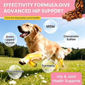 Glucosamine Chondroïtine MSM Home Pet <span class=keywords><strong>Essentials</strong></span> – Complément 2-en-1 Probiotique pour le Soutien Articulaire – Cliniquement Prouvé – 200 Bouchées Croquantes - Product Image 4