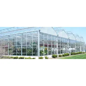 Sales Excellent glass greenhouse for sale vertical aquaponics system large greenhouse