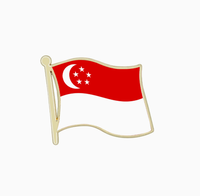 Broches drapeau de la Serbie, best-sellers transfrontaliers, drapeaux de pays du monde, cadeaux commémoratifs les plus vendus pour le commerce extérieur