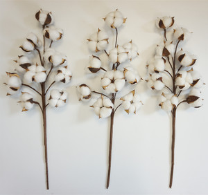 Hot Selling Natural Cotton Blossom Stem Dried Flower Branches With <strong>Twigs</strong> <strong>for</strong> Outdoor <strong>Decor</strong> Artificial Cotton Flower - Product Image 4