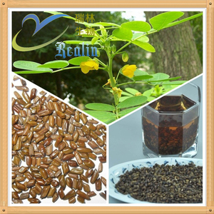 توريد مباشر من المصنع لمسحوق مستخلص بذور الكاسيا الطبيعي عالي الجودة بنسبة 10:1، مستخلص كاسيا أوبتوسيفوليا - Product Image 5