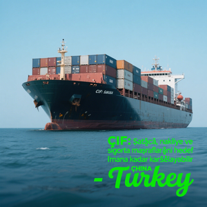 Envío de carga de China a Turquía con servicios puerta a puerta Air Sea Freight Express Agente de logística de transporte profesional - Product Image 4
