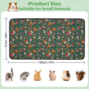Nuevo diseño de hámster, mascota, conejo, alfombrilla de alimentación, almohadilla fresca para gatos, alfombrilla de cama para perros de secado rápido para roedores - Product Image 2