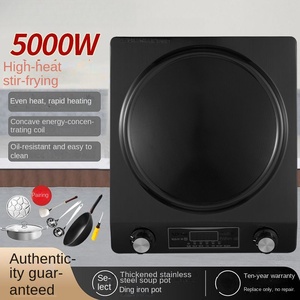 Table de cuisson à induction double brûleur CE CB de haute qualité 500W portable avec surface en fonte 24 cm, classe d'efficacité énergétique, pour usage hôtelier - Product Image 2