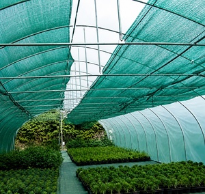 Filets d'ombrage verts en PE pour serres et pépinières avec protection UV à 50 % – Protection solaire extérieure pour jardin - Product Image 1