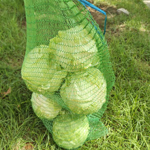 Gran oferta, bolsas <span class=keywords><strong>de</strong></span> malla Raschel personalizadas <span class=keywords><strong>de</strong></span> punto <span class=keywords><strong>de</strong></span> PE, sacos <span class=keywords><strong>de</strong></span> cebolla, bolsa <span class=keywords><strong>de</strong></span> malla <span class=keywords><strong>de</strong></span> <span class=keywords><strong>leña</strong></span> Leno PP reciclada para fruta - Product Image 2