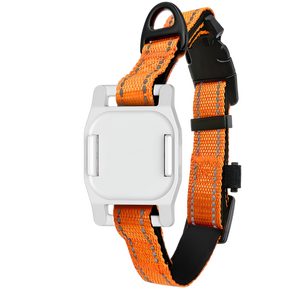 <span class=keywords><strong>Collier</strong></span> de suivi <span class=keywords><strong>GPS</strong></span> pour animaux de compagnie 365GPS, carte SIM 4G, navigation <span class=keywords><strong>GPS</strong></span> en temps réel, <span class=keywords><strong>traceur</strong></span> étanche pour chiens/chats, positionnement GSM/LBS, IP66, application - Product Image 3