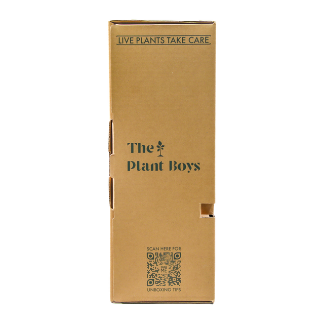 Customizable Plant Packaging Boxes  Protective Corrugated Mailing Boxes for Potted Plants, Flowers, and Greenery