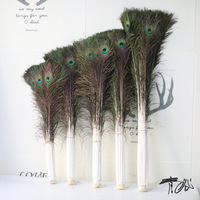 Pfauenfedern Großhandel 25-130cm Lange Pfauenfedern für Handwerk, Heimdekoration, Blumenarrangements, Ornamente; Natürliche Federn