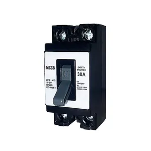 Mini switch 30A Safety circuit breaker Overload 20A NT50 mini MCB black or white 2 Pole
