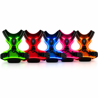 Harnais LED rechargeable pour chien, type C USB, gilet lumineux pour animal de compagnie, harnais réfléchissant anti-traction pour la sécurité des promenades nocturnes, tailles S à XL