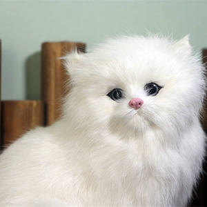 Hot Bán Sống Động Như Thật Crouching Động Vật Mô hình Handmade Thực Tế Ba Tư Mèo Búp Bê Trẻ Em Mèo Sang Trọng - Product Image 4