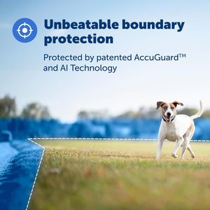 ปลอกคอสุนัข PetSafe Guardian GPS พร้อมระบบติดตามแบบเรียลไทม์ ไร้สาย สีฟ้า ทำจากไนลอนและพลาสติก รองรับบลูทูธ ใช้งานร่วมกับ iOS ได้ - Product Image 2