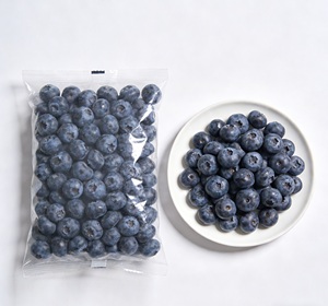 Offre Spéciale : <span class=keywords><strong>Myrtilles</strong></span> IQF Chinoises Certifiées HACCP – Meilleur Rapport Qualité-Prix pour la Transformation Alimentaire - Product Image 1