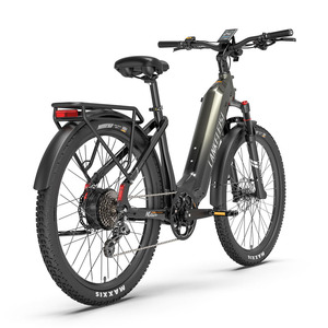 Lankeleisi MG600 Lite Electric Bike 250W Shimano Altus 8 36V 20Ah 720Wh ZOOM Hydraulic Electric Mountain Bike - Product Image 5