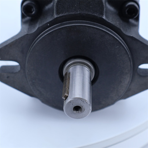 Pompes à piston hydrauliques série PVS PVS-0B-8N3-U-30 PVS-0B-8N1-30 Pompe à piston Autres pièces hydrauliques - Product Image 2